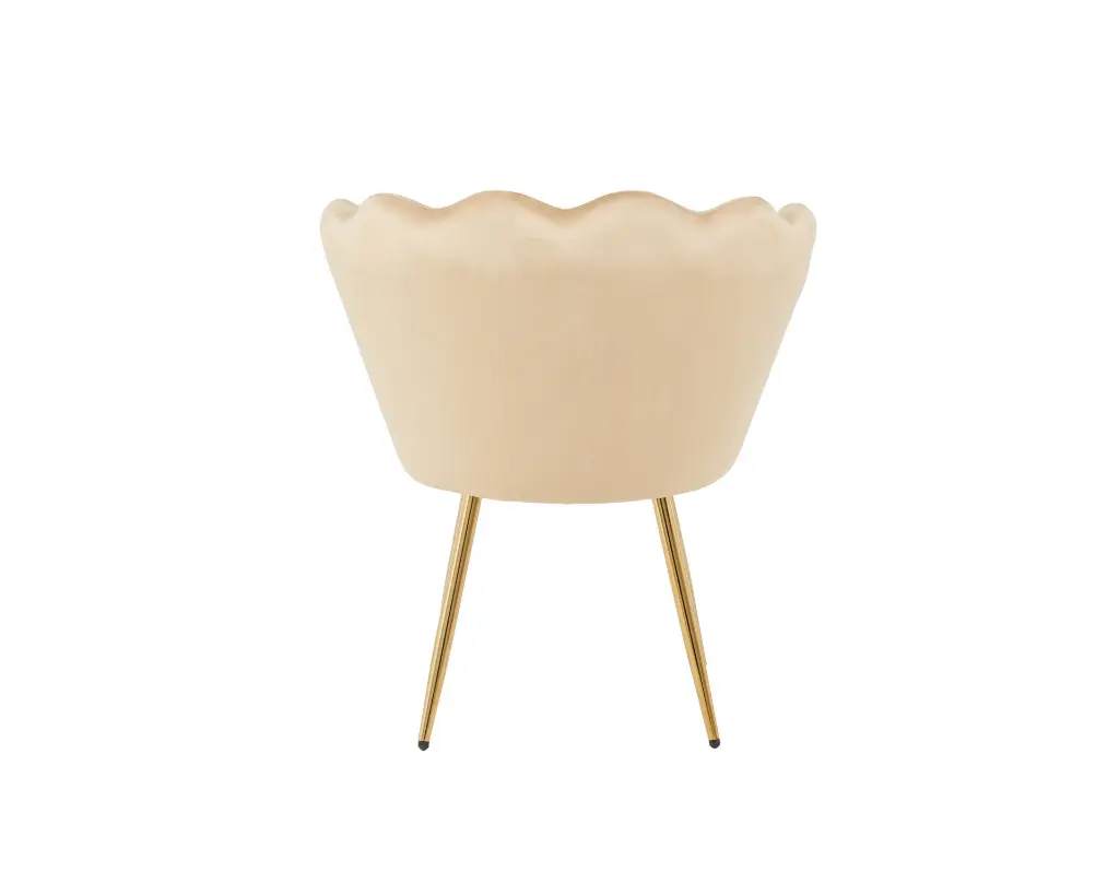 DC1197 HCD-5 (5).webp