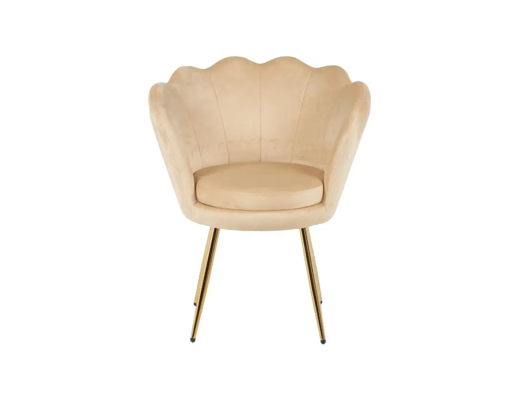 DC1197 HCD-5 (2).webp