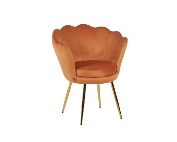 DC1197 HCD-24 (3).webp