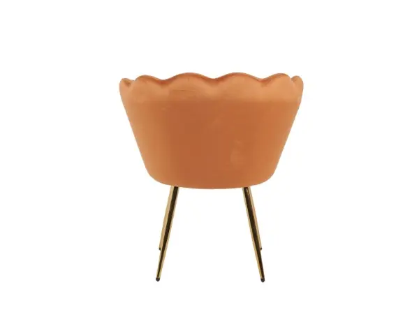 DC1197 HCD-24 (5).webp