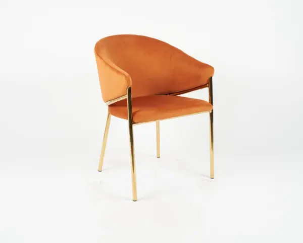 DC1239 HCD-24 (3).webp