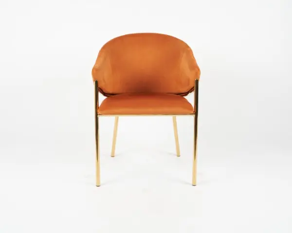 DC1239 HCD-24 (2).webp