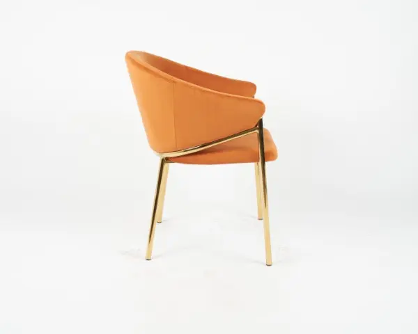 DC1239 HCD-24 (4).webp