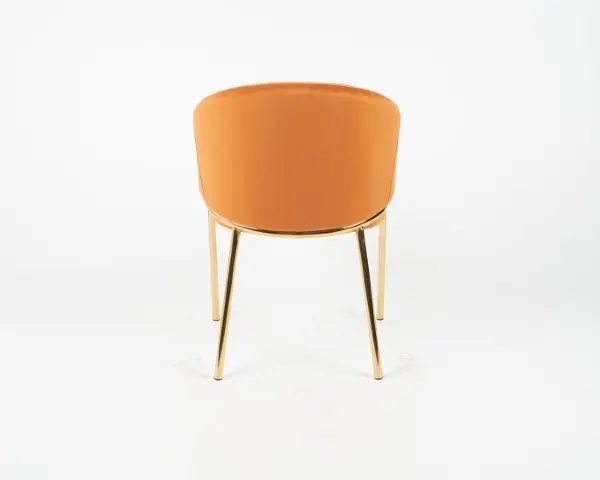 DC1239 HCD-24 (5).webp