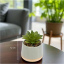 Plante céramique "Reac" - Bleu clair