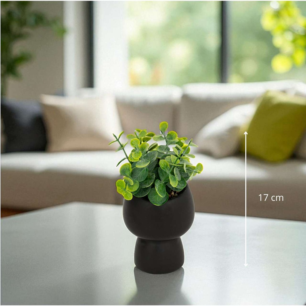 Plante g céramique livy h17 - noir