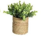 Pot à fleurs-eucalyptus