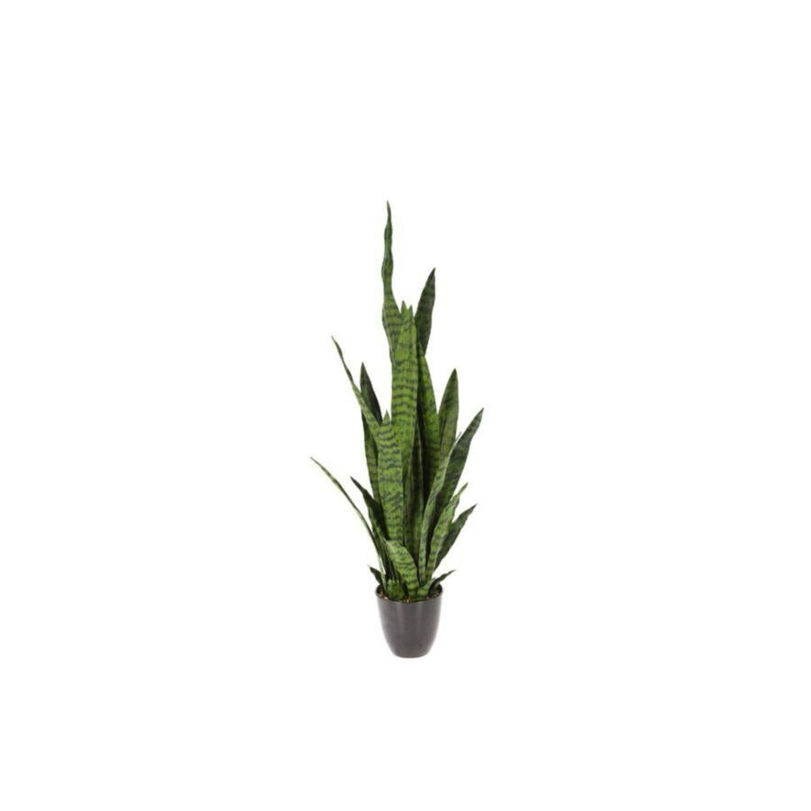 Plante en pot 92cm