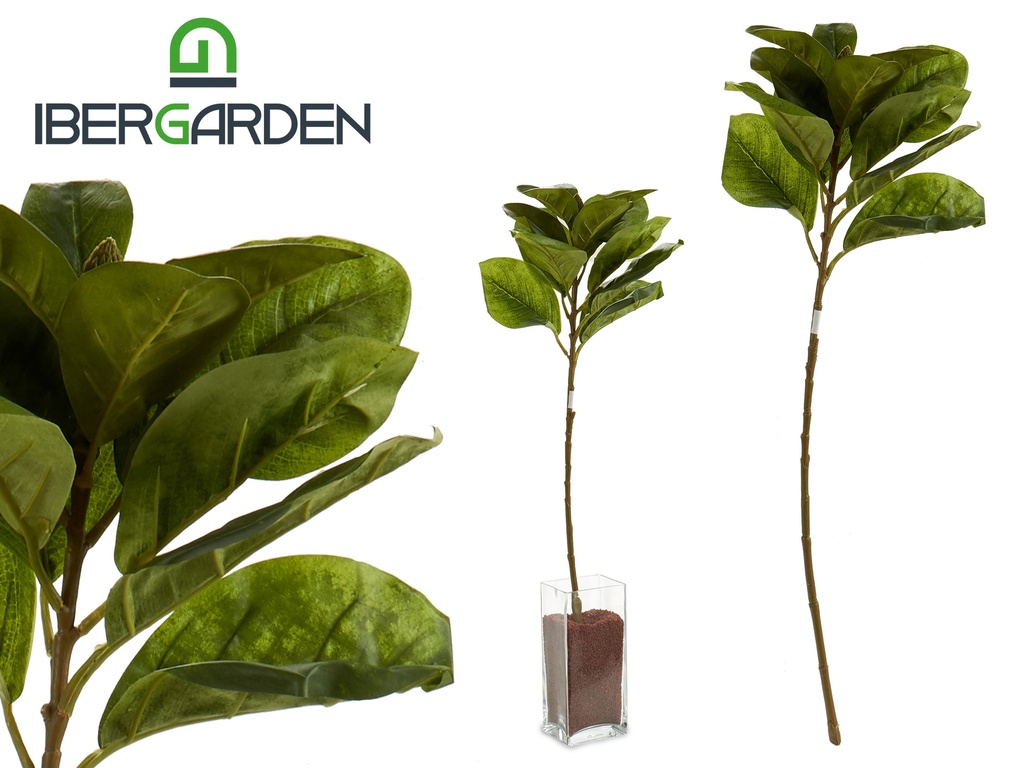 Branche feuilles verts pointe