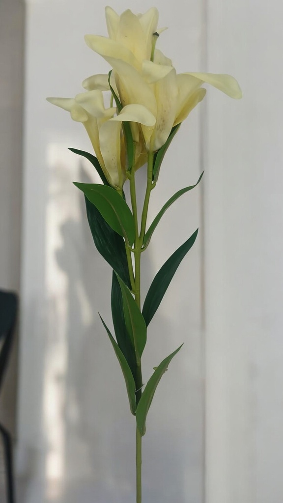 Fleur tige jaune