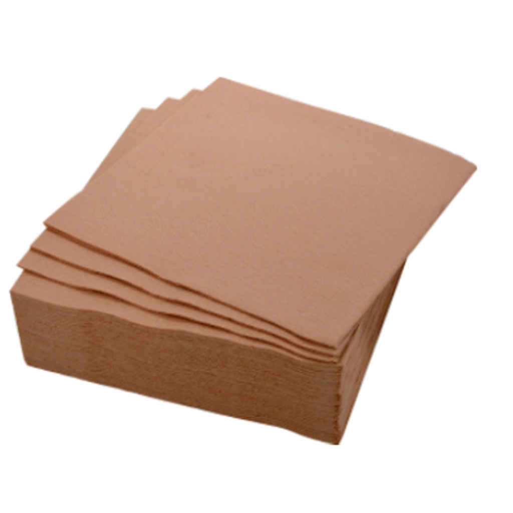 40 serviettes vitamine en papier 2 plis 38x38cm kraft