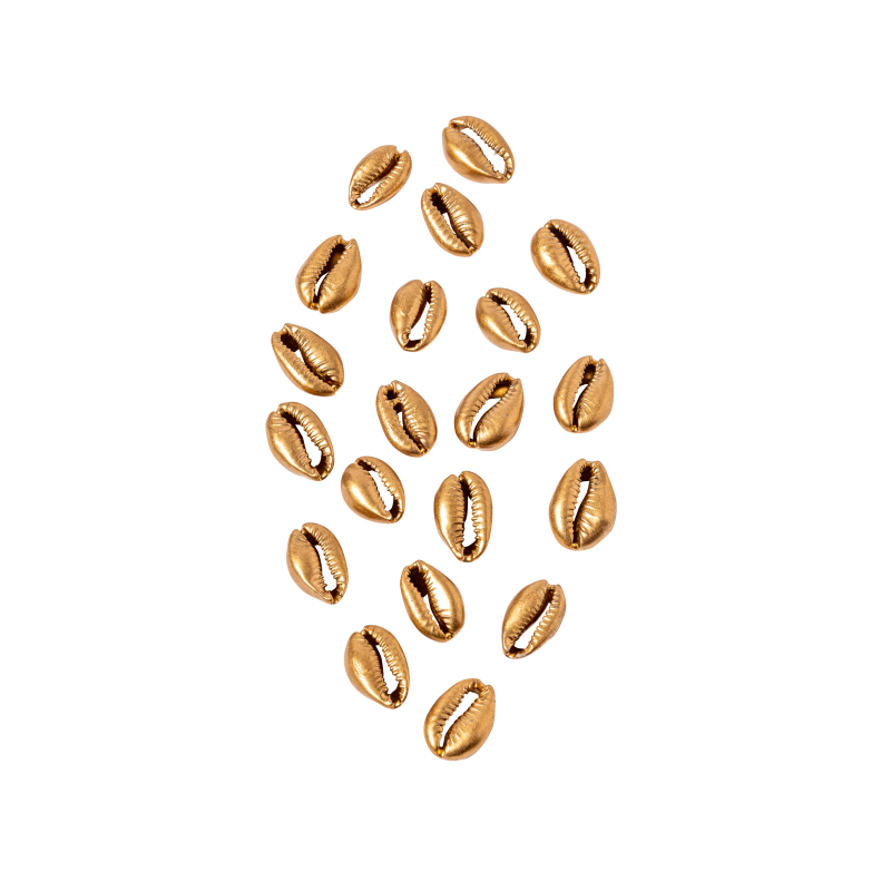 20 coquillages or env 2x1.5cm