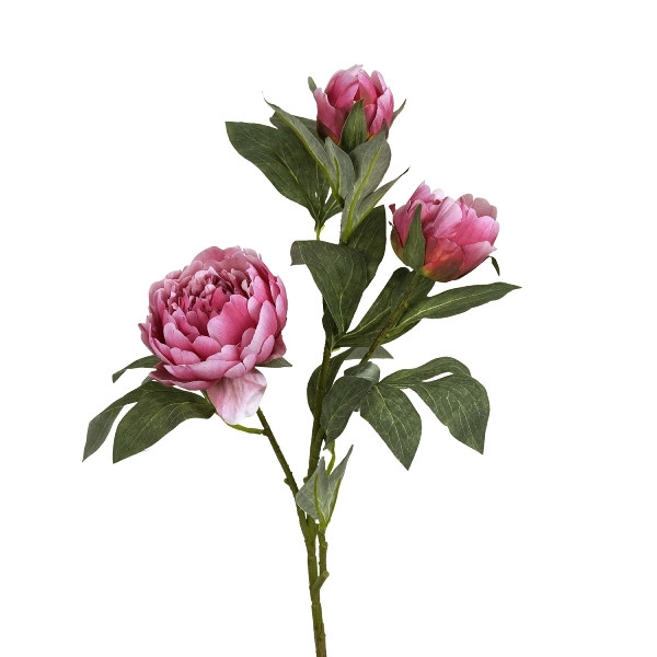 Rose pivoine polyester