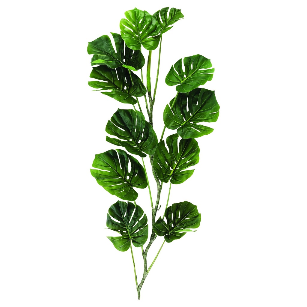 Monstera plastique