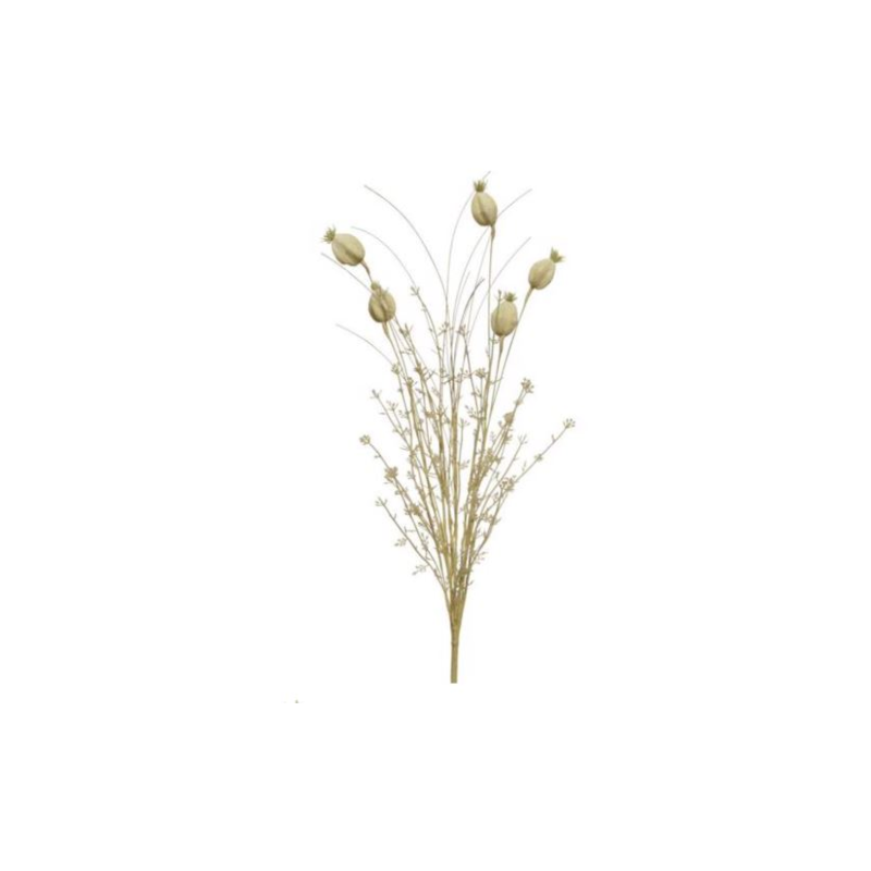 Fleurs séchée