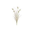 Fleurs séchée