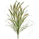 Grappe plastique vert