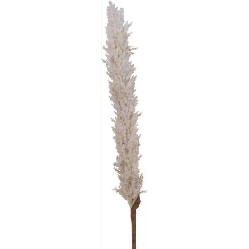 Herbe de la pampa sur tige plastique