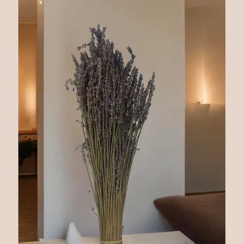 Lavande sur tige fleur sechee