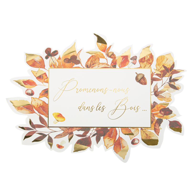 8 sets de table promenons-nous dans les bois dégradé de camel et or 38