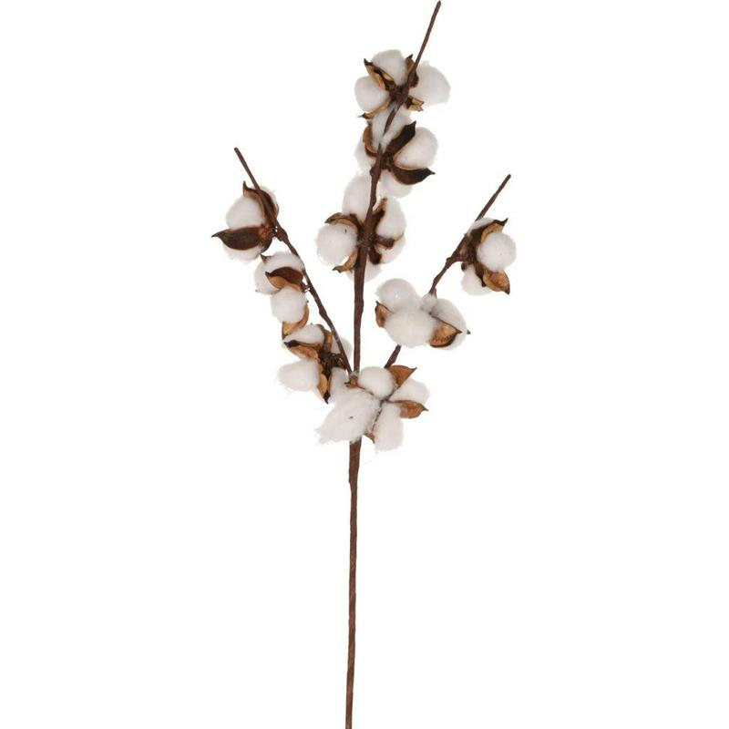 Tige cotton 9 pick 54cm