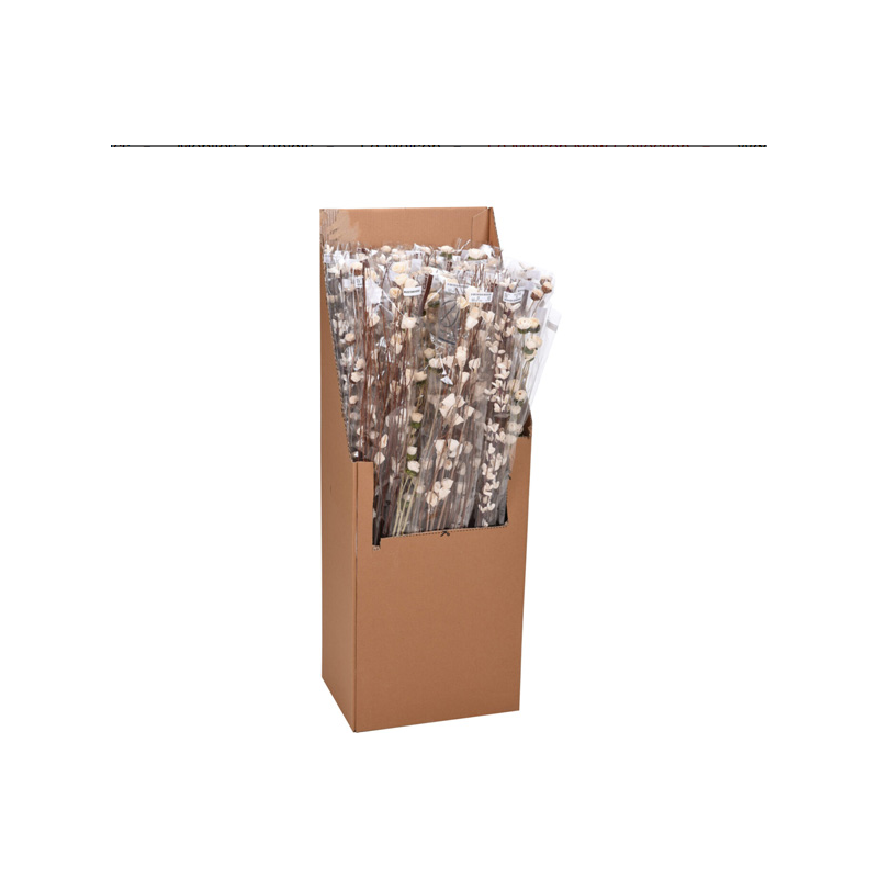 Tree branche softwood flowers-beige 3 petale 