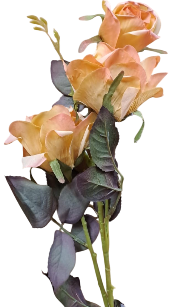 Tige rose jaune
