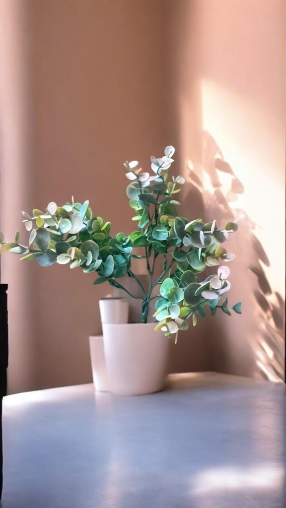 Fleurs eucaliptus