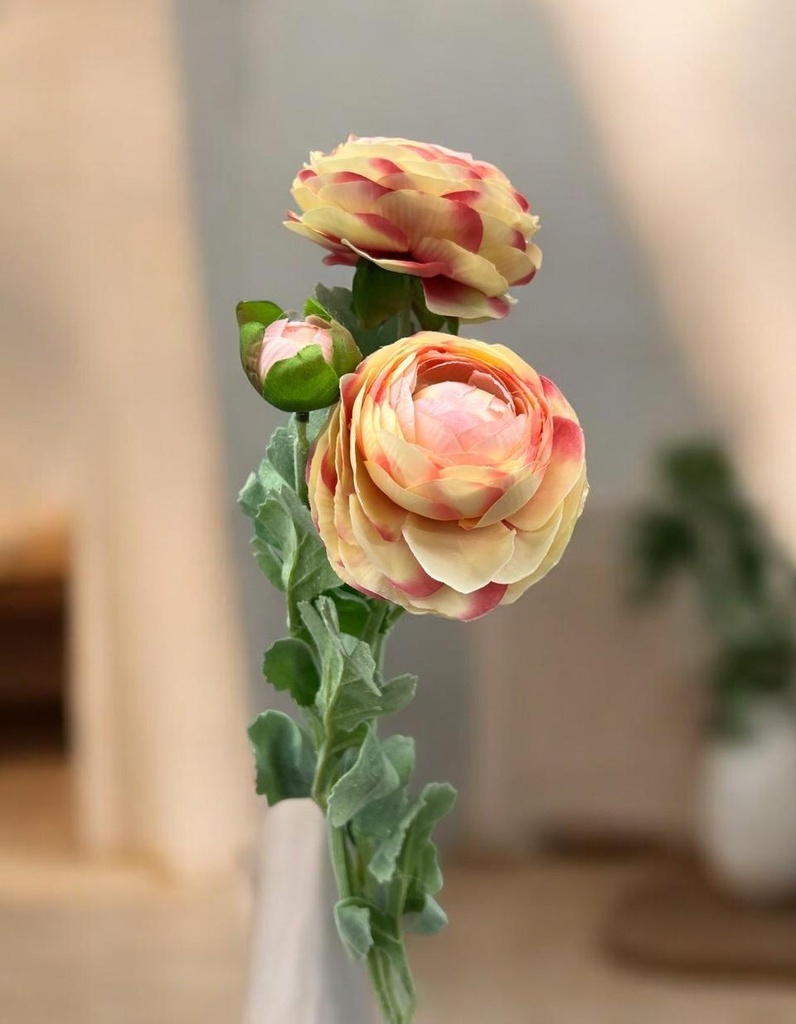 Tige renoncules beige/rose