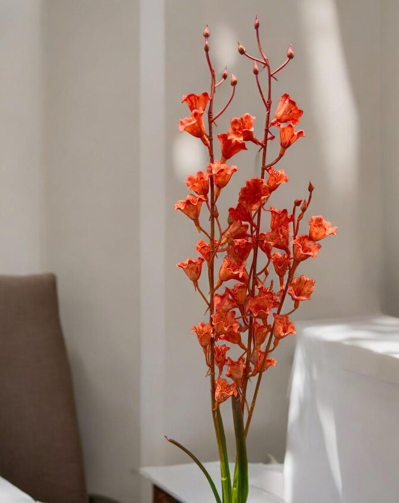 Tige oncidium orange
