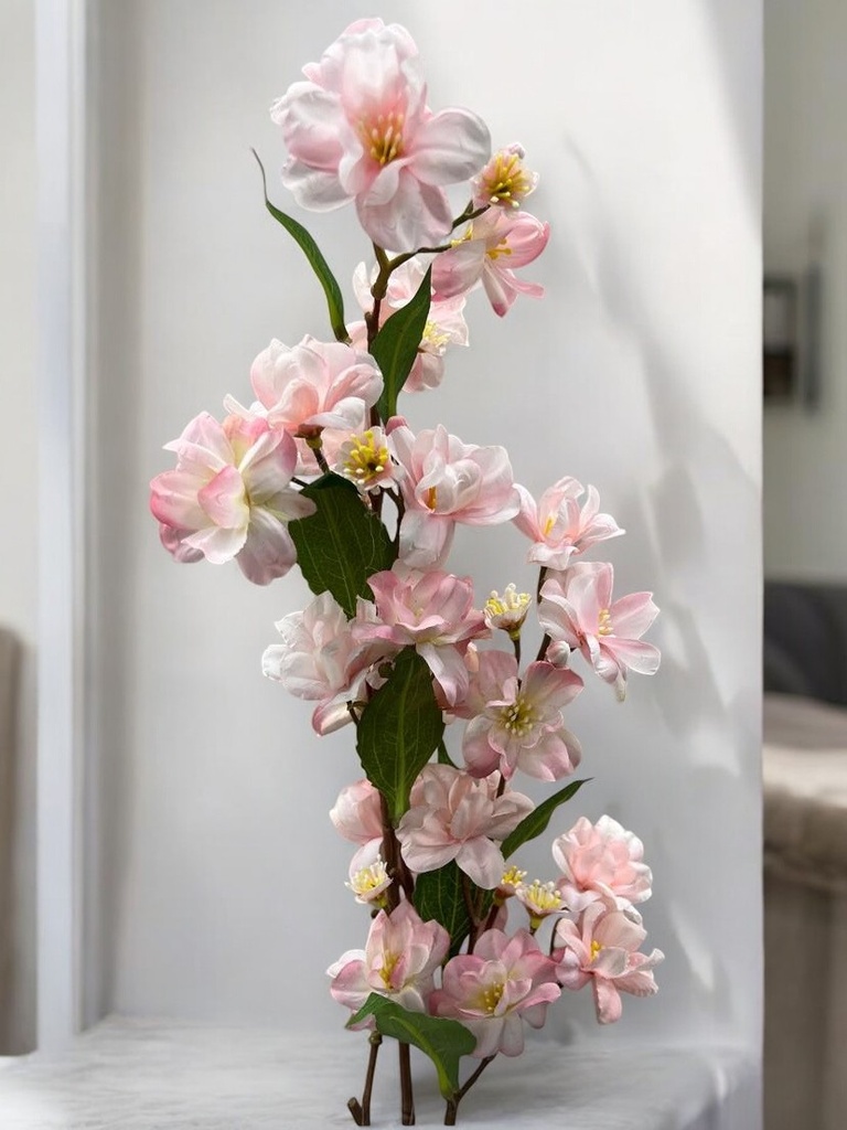 Tige marguerite rose claire