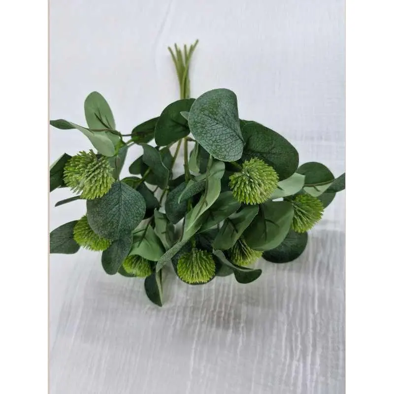 Tige eucalyptus epais