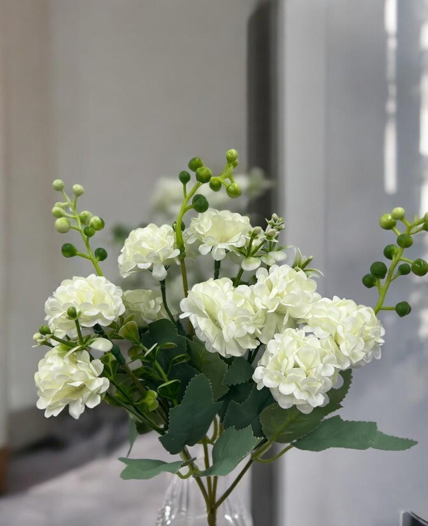 Bouquet d'horesias blanc