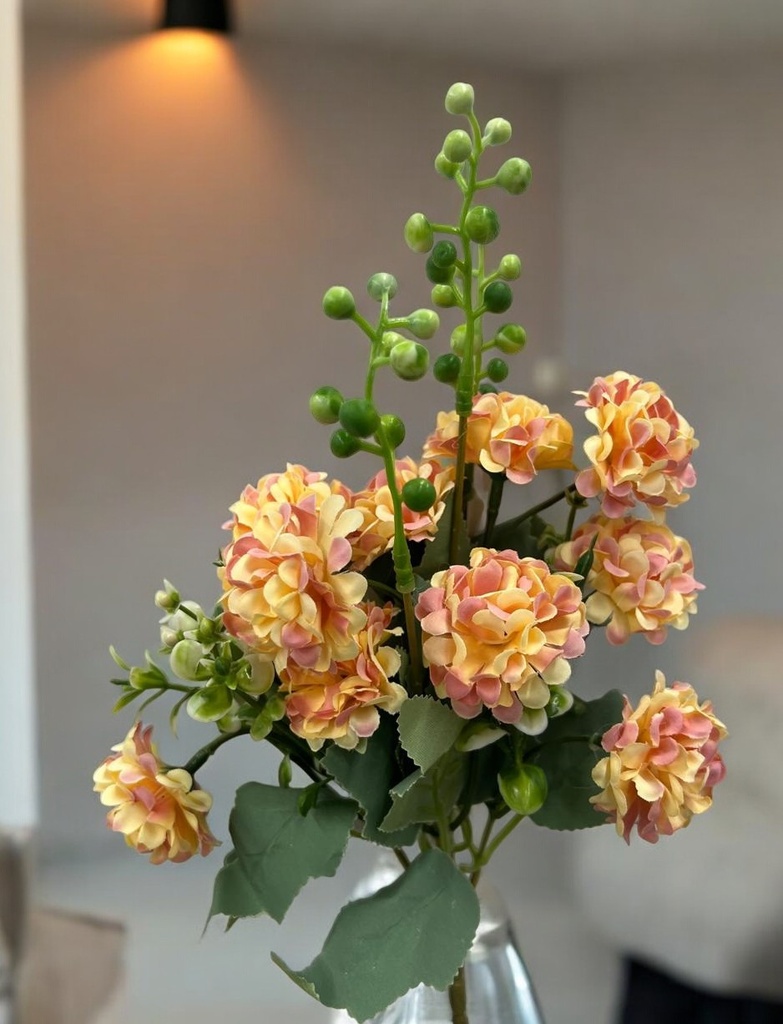 Bouquet d'horesias orange/rose