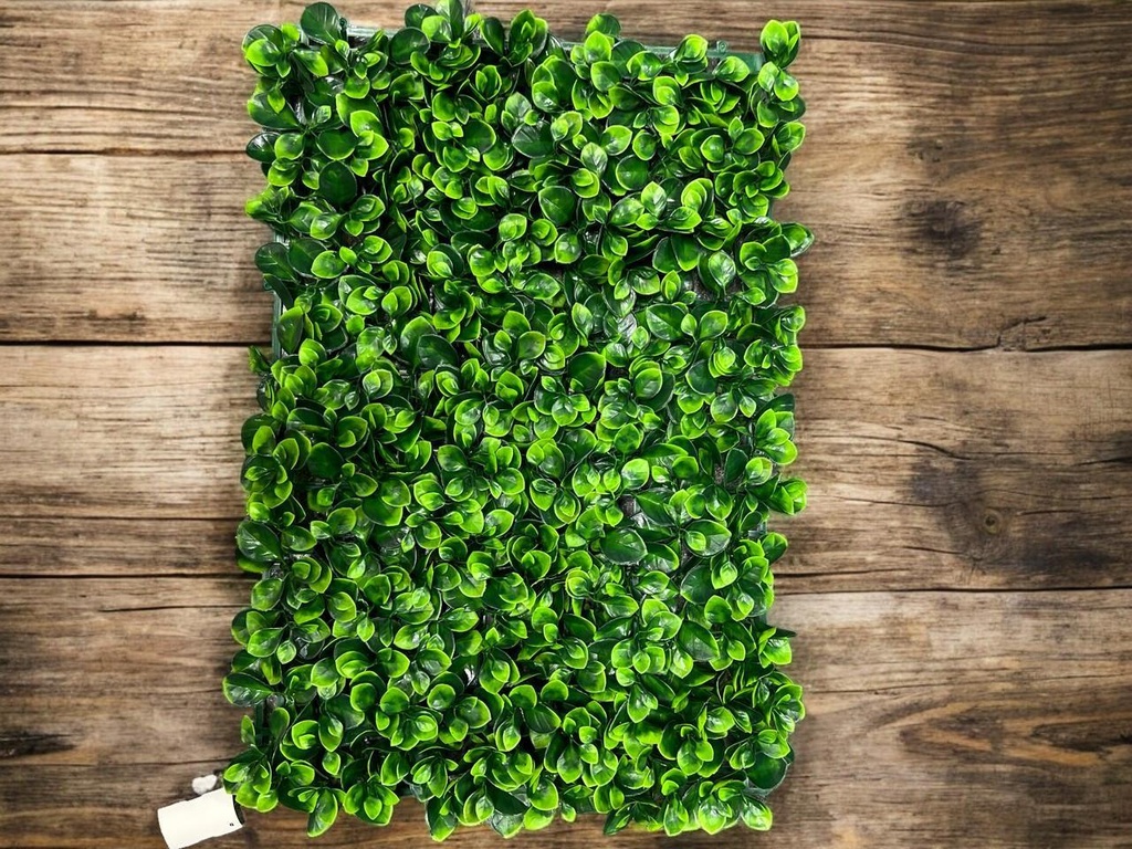 Plaque verdure 40x60 cm