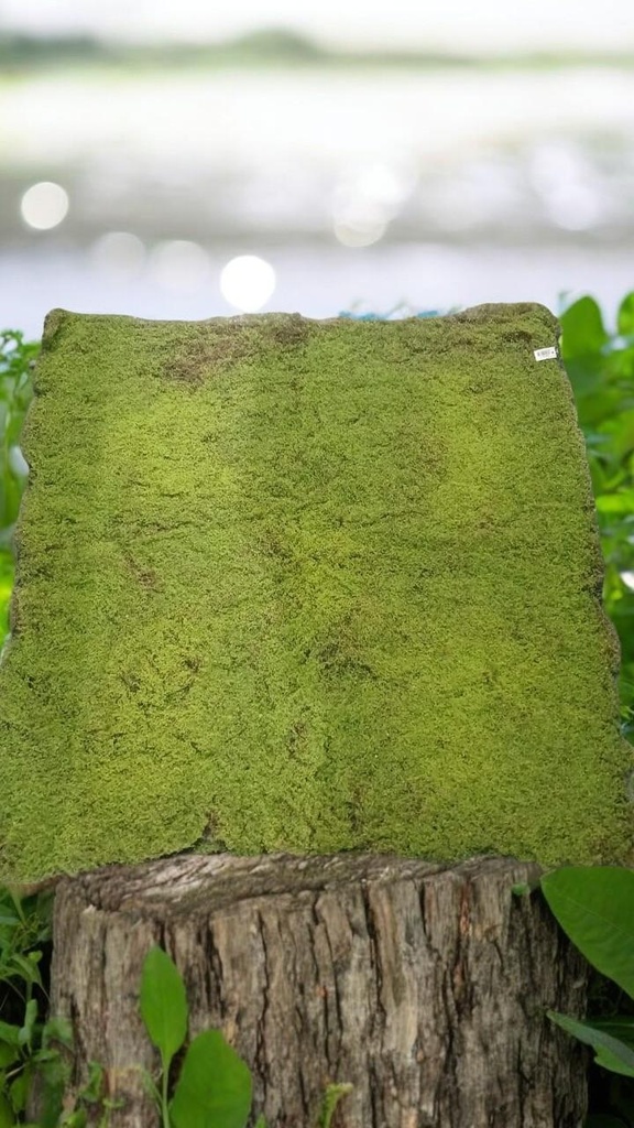 Plaque mousse stabilisée