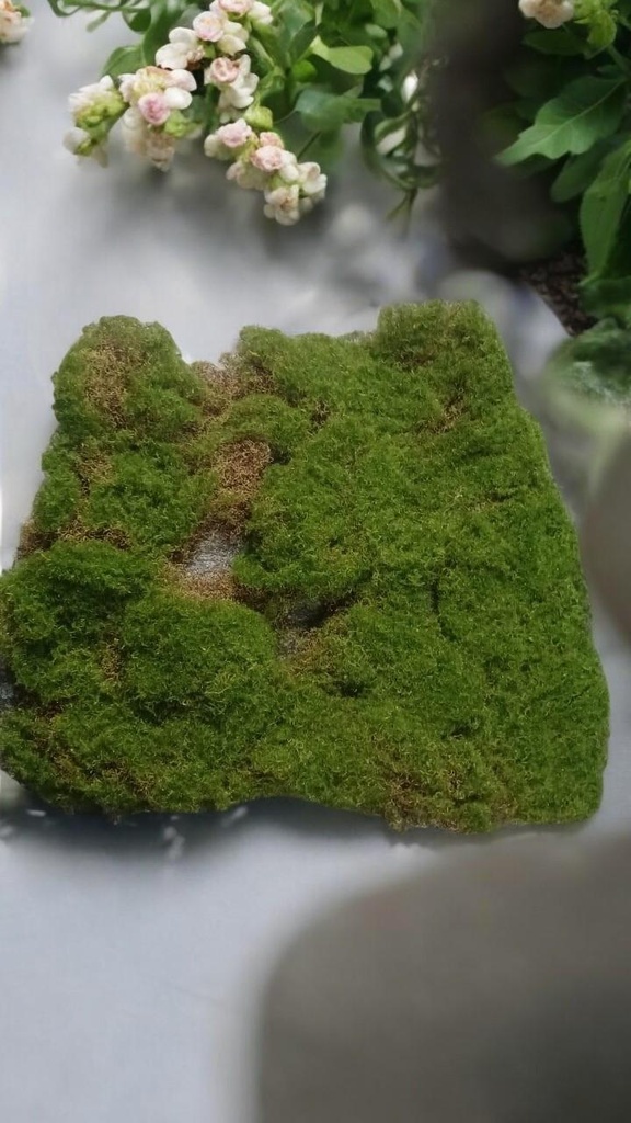 Plaque mousse stabilisée