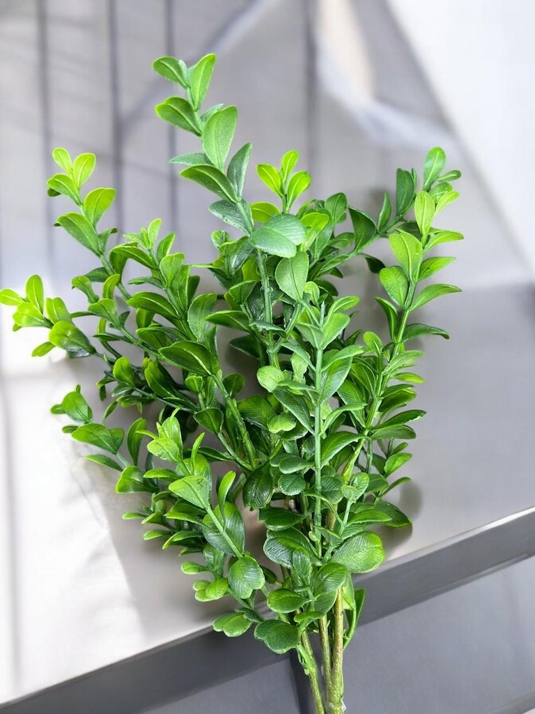 Bouquet eucalyptus -2025