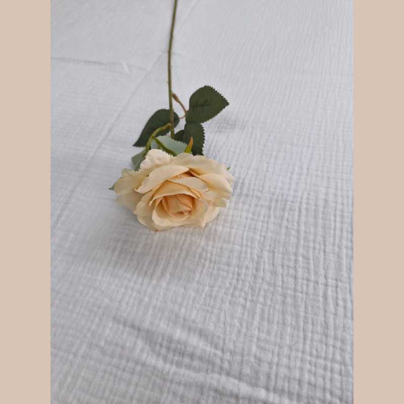 Tige rose-beige