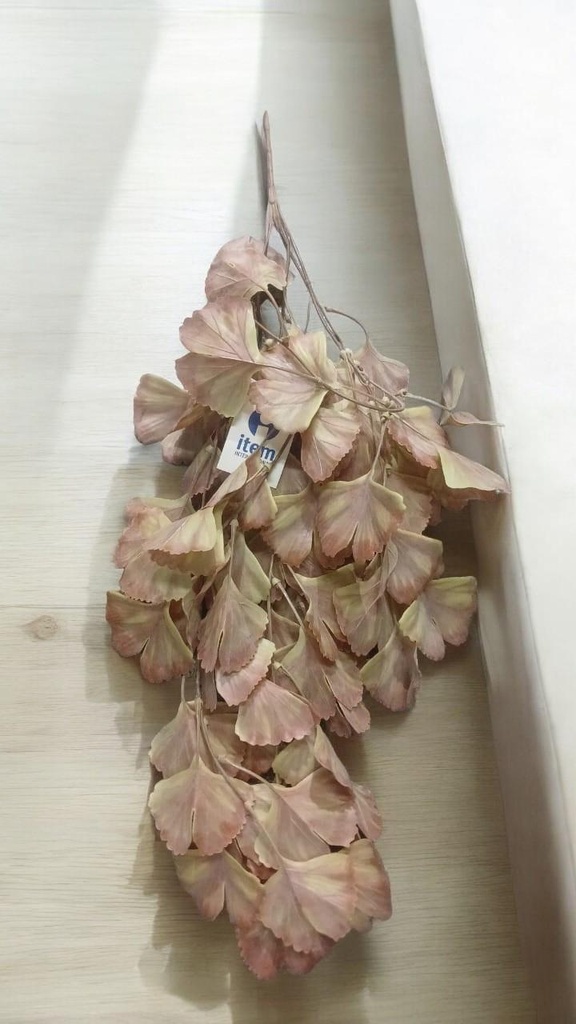 Plante pe fer 15x15x76 suspendu coul marron