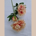 Tige pivoine 90cm peach