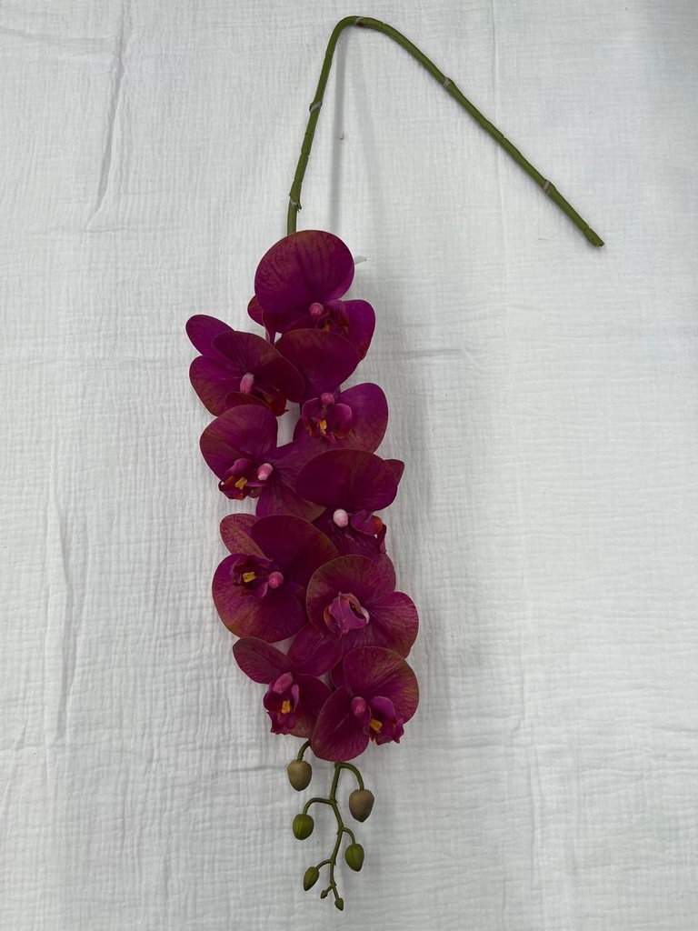Fleurs 