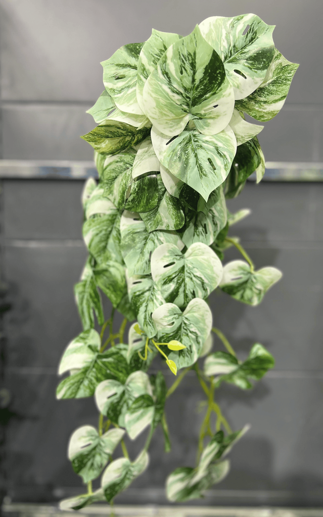 Pendant  monstera vert et blanc