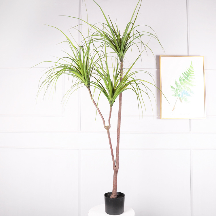 Plante en pot yucca 180cm 