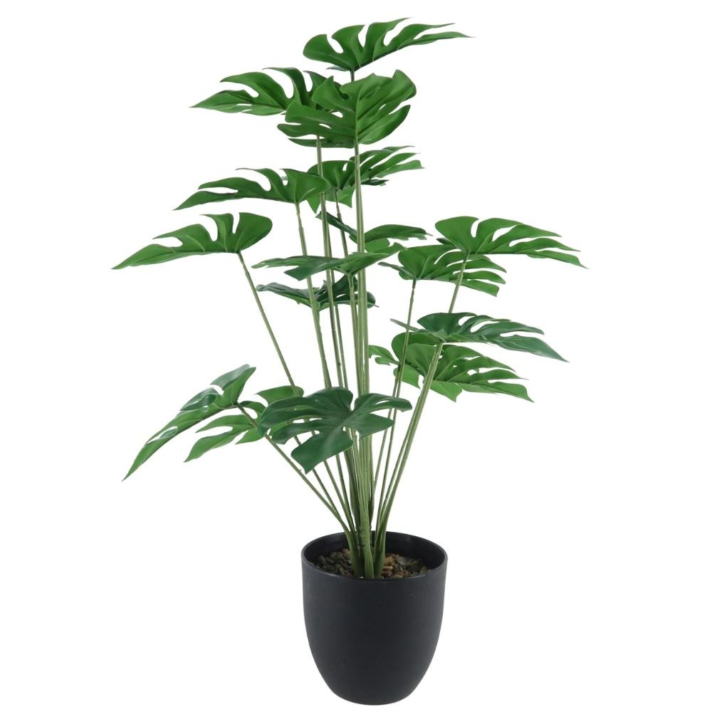 Fleur pot noir monstera