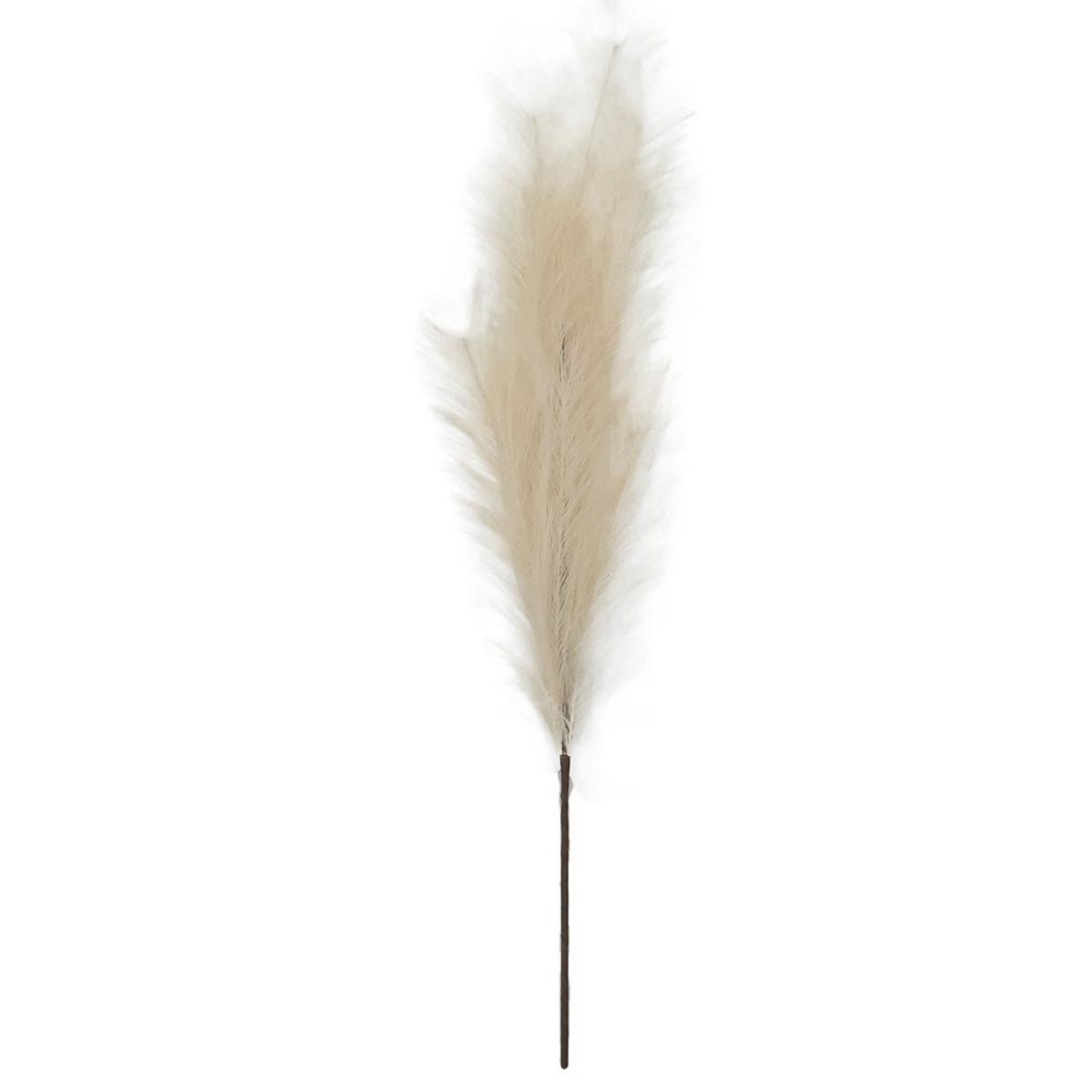 Pampas blanc h100cm