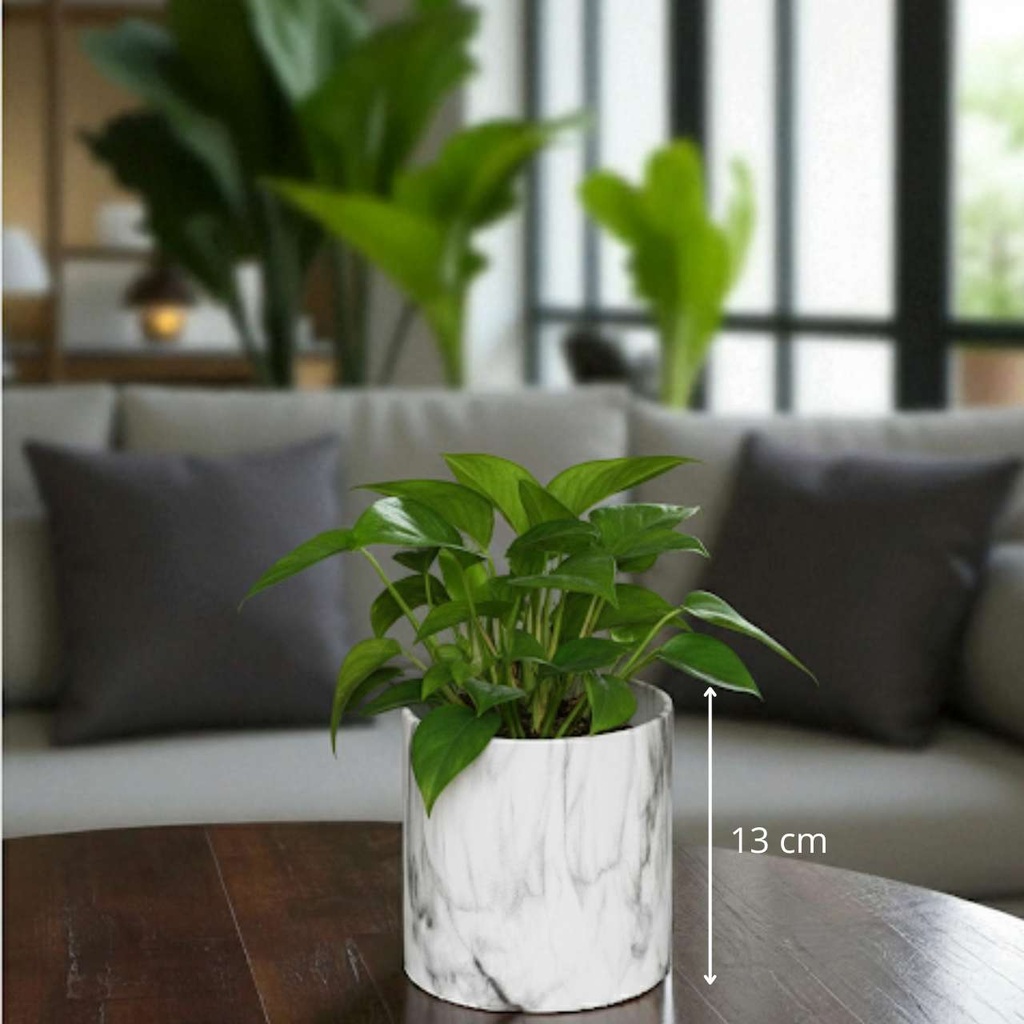 Cache pot marbre d13.5h13