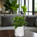 Cache pot marbre d13.5h13