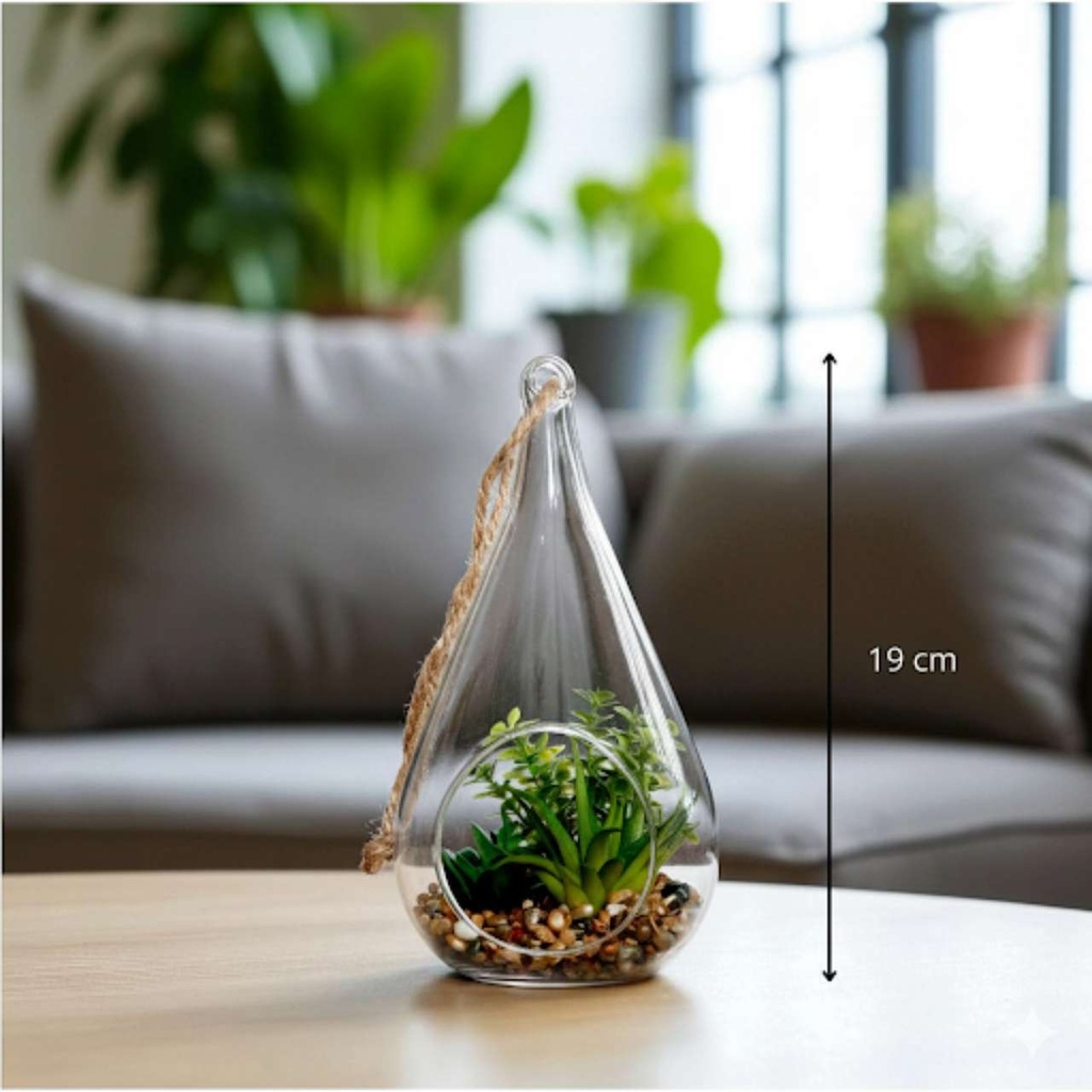 Terranium plante ike h19 cm - modèle 3