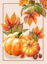 Torchon citrouille orange 50x70